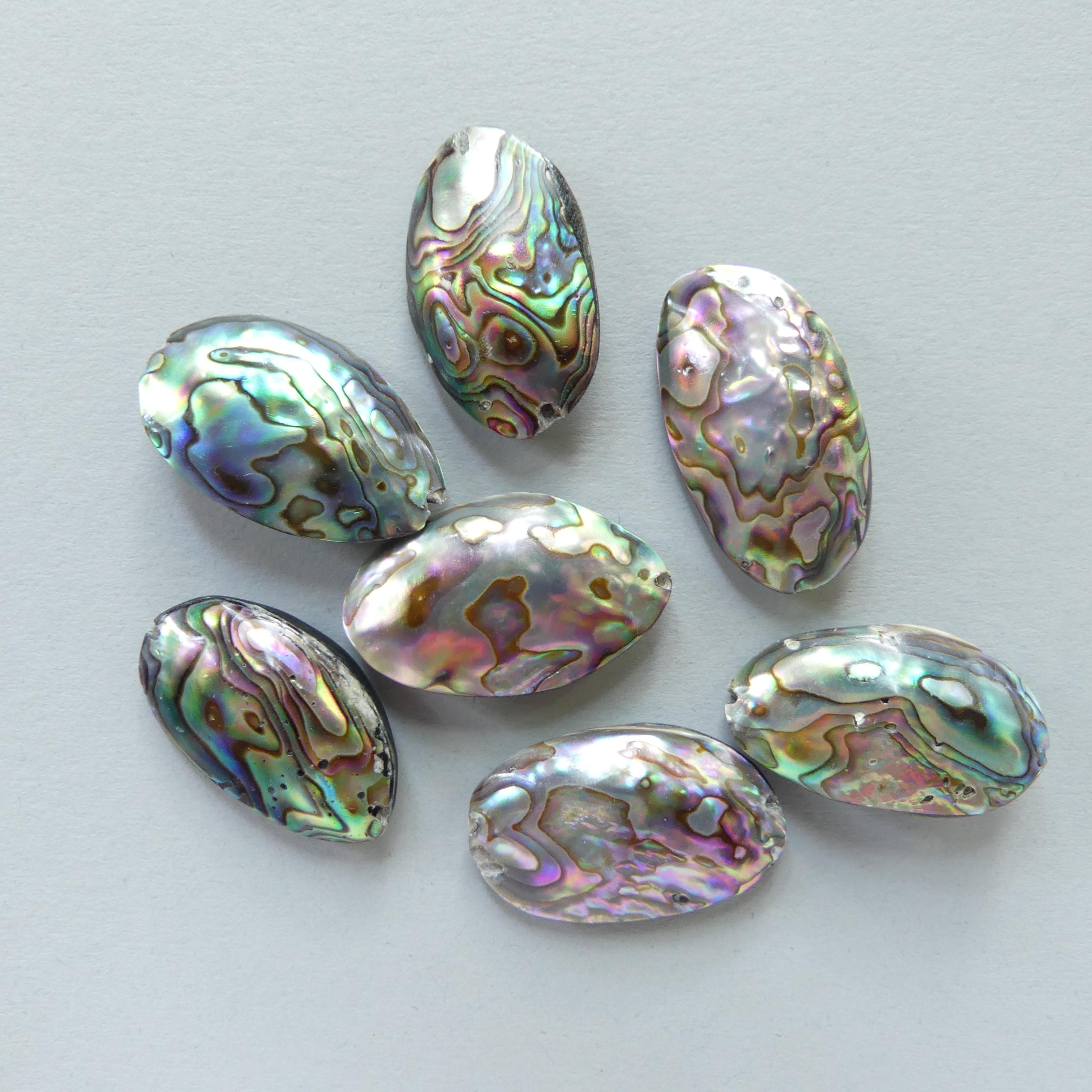 Natural Marquise Rainbow Abalone Shell Bead 1pc Natural Shell Accent Bead Beading Crafter Gift June Birthstone DIY Jewelry