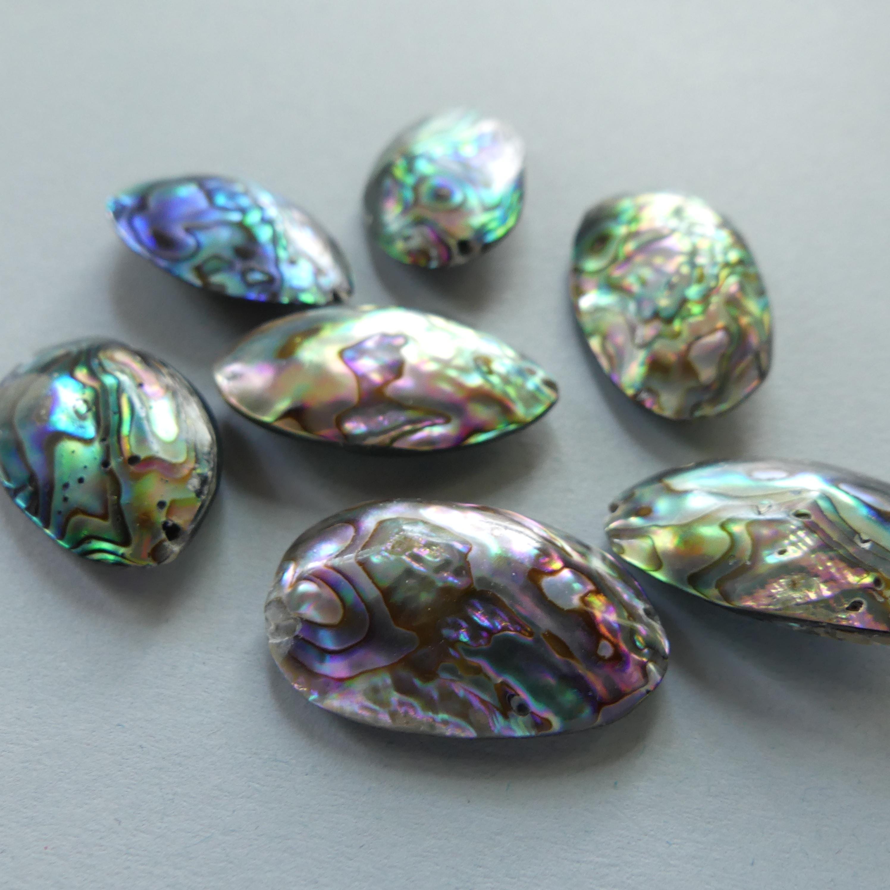 Natural Marquise Rainbow Abalone Shell Bead 1pc Natural Shell Accent Bead Beading Crafter Gift June Birthstone DIY Jewelry