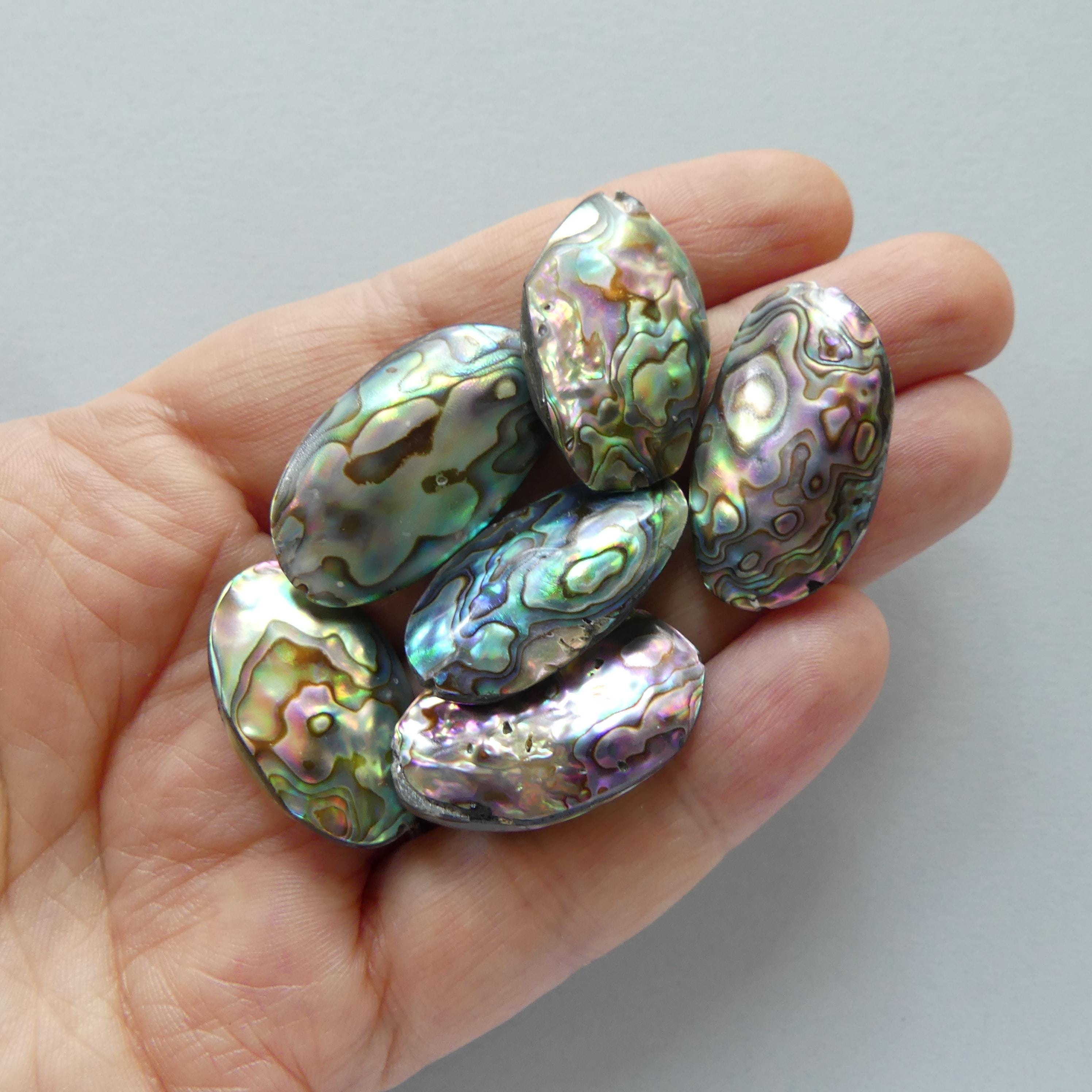 Natural Marquise Rainbow Abalone Shell Bead 1pc Natural Shell Accent Bead Beading Crafter Gift June Birthstone DIY Jewelry