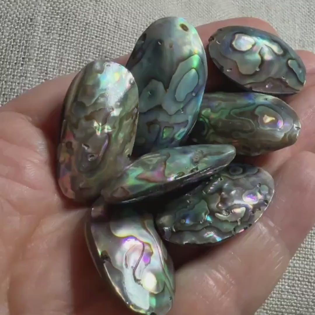 Natural Marquise Rainbow Abalone Shell Bead 1pc Natural Shell Accent Bead Beading Crafter Gift June Birthstone DIY Jewelry